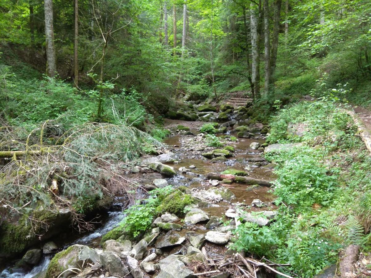 Amy'S Apartment, Relax And Enjoy Bonndorf im Schwarzwald Ngoại thất bức ảnh