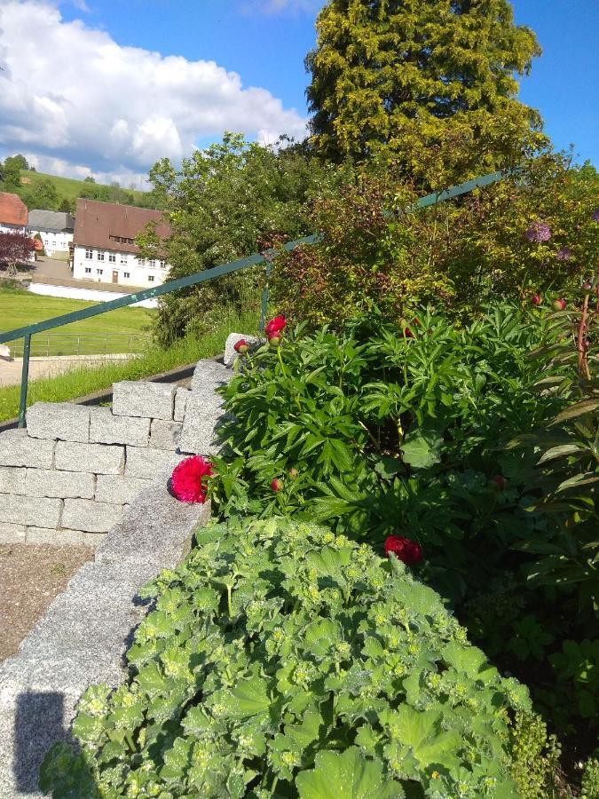 Amy'S Apartment, Relax And Enjoy Bonndorf im Schwarzwald Ngoại thất bức ảnh